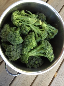 ...kokade broccoli...